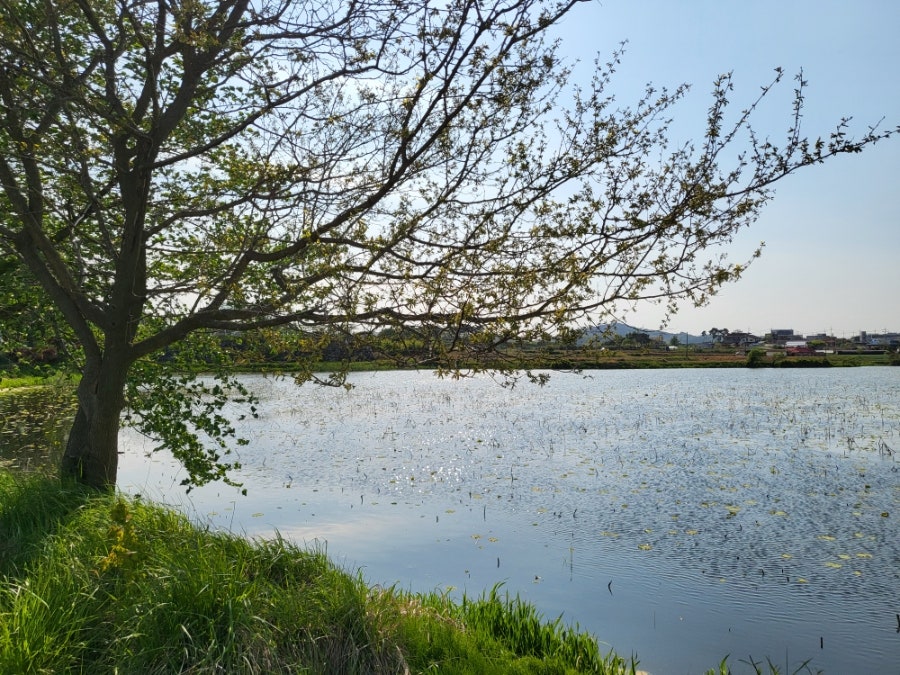 석지제 사진 2