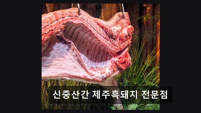 사진 2