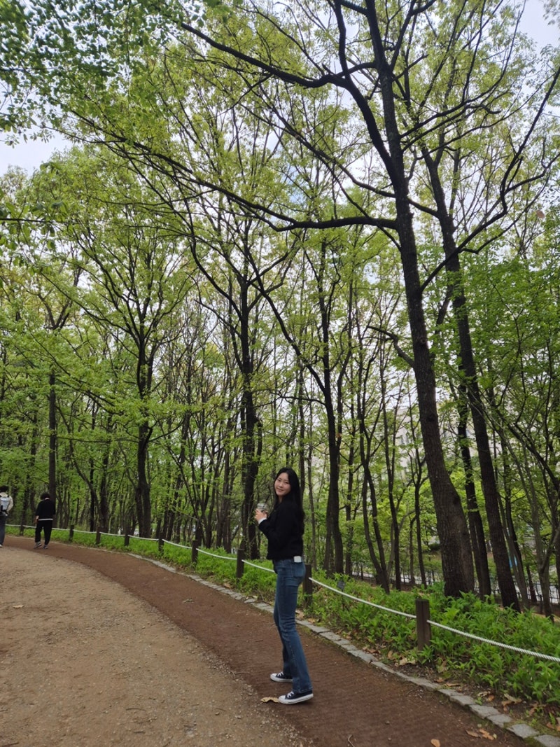 대전 가볼만한곳 한밭수목원 피크닉 주차 입장료 무료 산책 후기