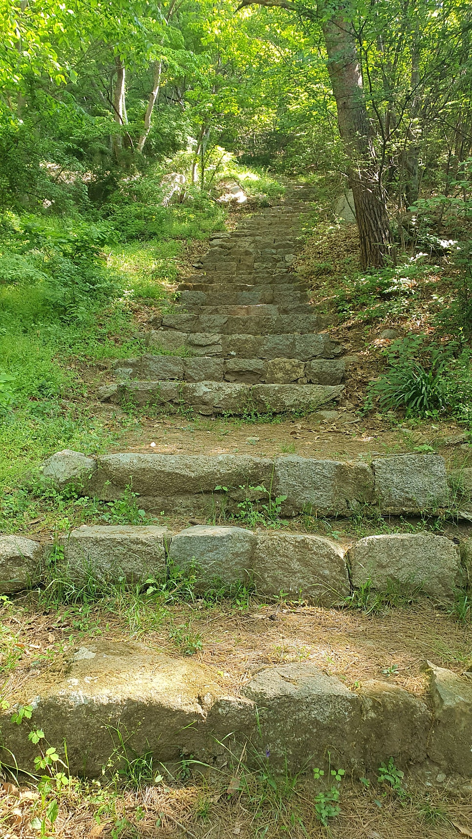 장군산 사진 4