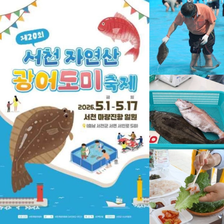  2026 서천자연산광어도미축제 충남 5월 축제 추천