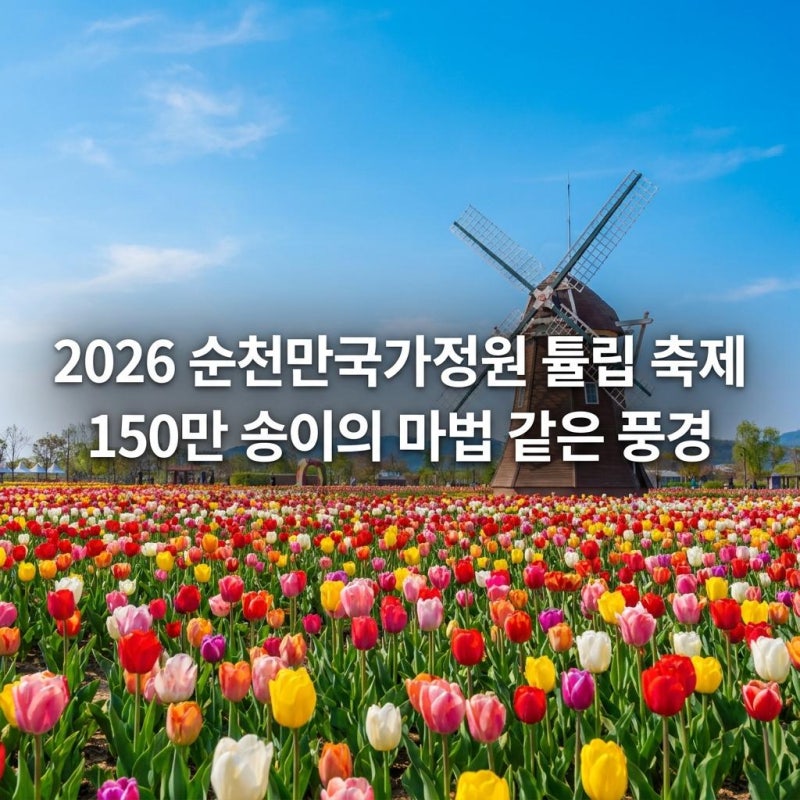 [2026 최신] 전남 순천 아이와 가볼만한곳,150만 송이 순천만국가정원 튤립 축제 완벽 가이드