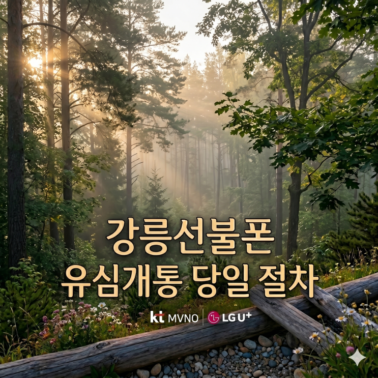  강릉선불폰 유심만 당일 개통하는 방법