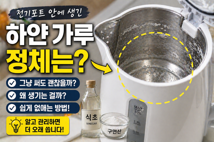  전기포트 안에 하얀 가루가 생기는 이유, 그냥 써도 되는지 궁금했다면