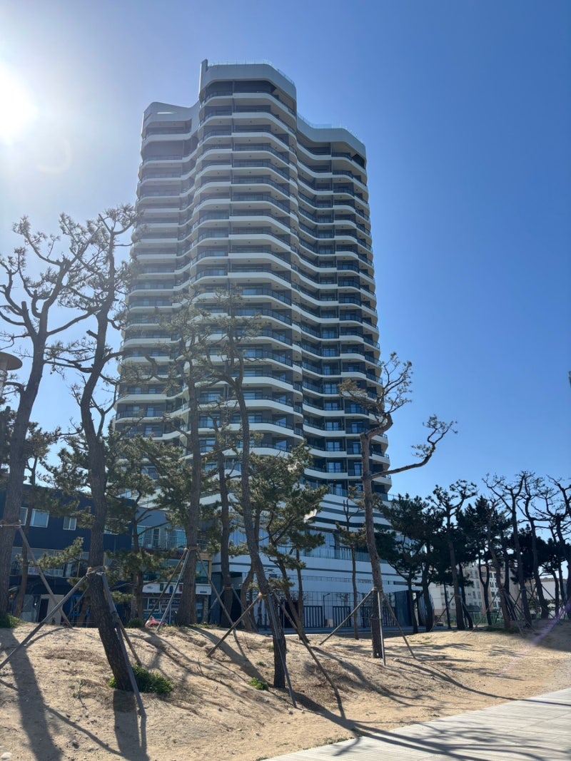 사진 6