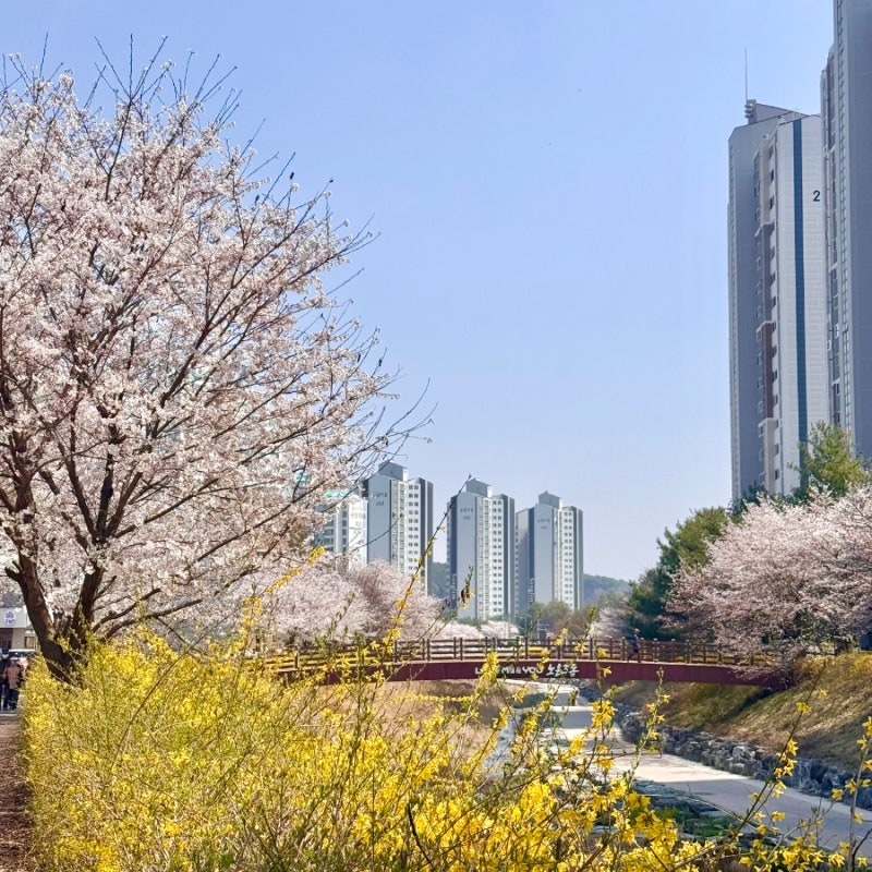다이어터인듯 아가리어터인듯한 4월