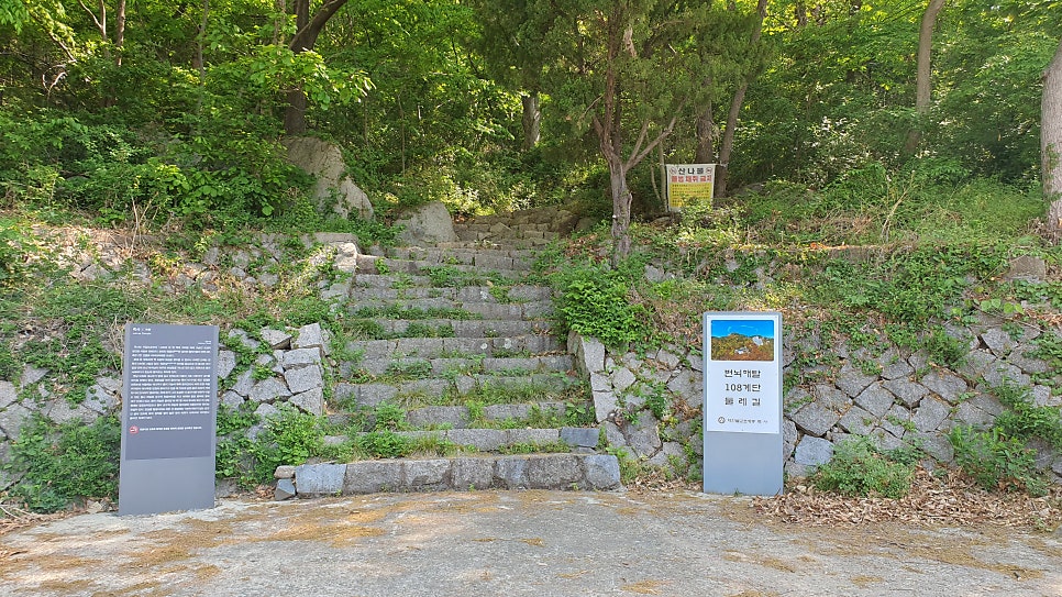 장군산 사진 3