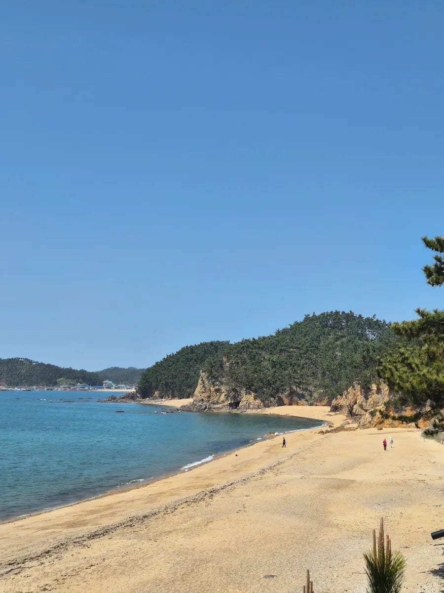 파도리인천수산 사진 3