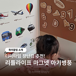 터미타임장난감 추천 리틀라이프 마그넷 아기병풍 거울