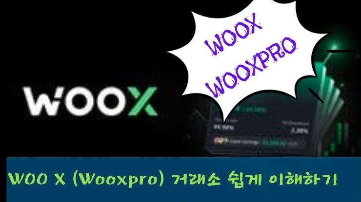  WOO X (Wooxpro) 거래소 쉽게 이해하기
