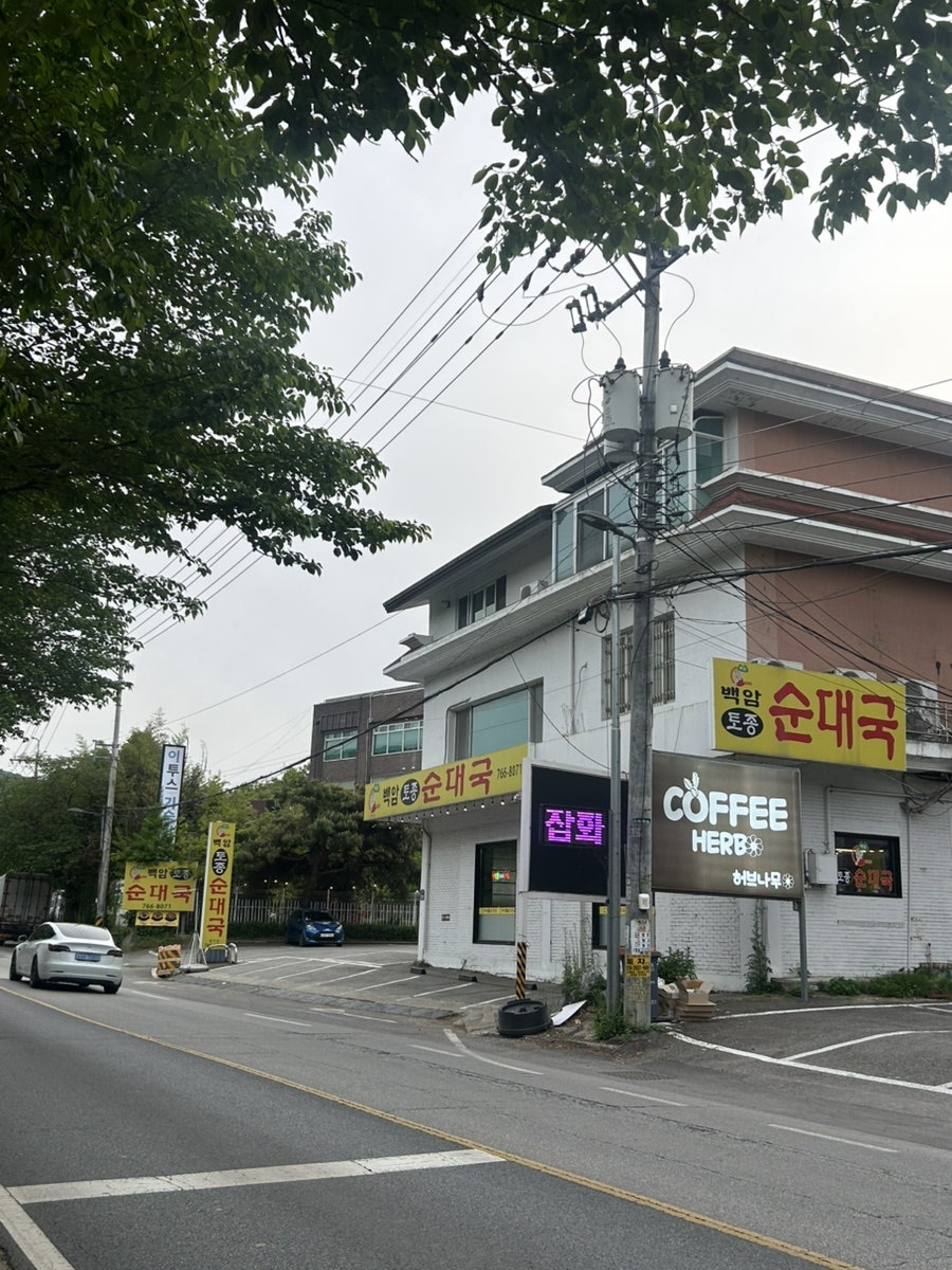 백암토종순대 사진 1