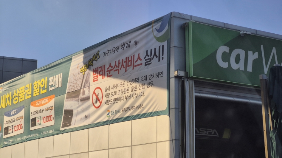 녹색시간 사진 2