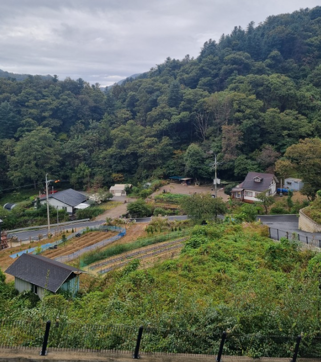 별을보다펜션 사진 2