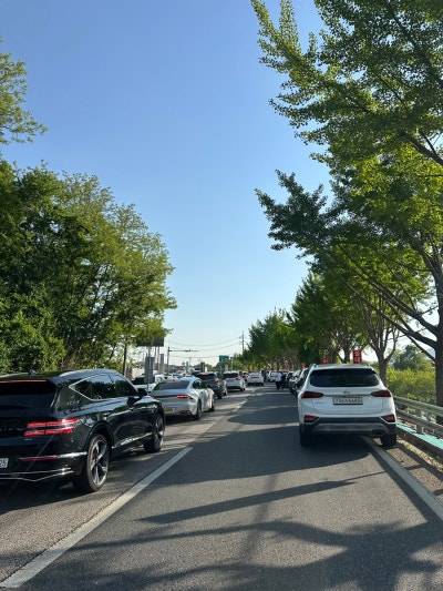 사진 6