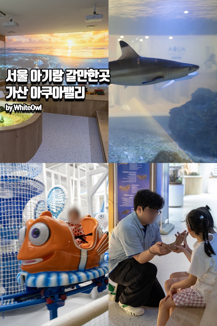  서울 아기랑 갈만한곳 근교 아쿠아리움 키즈파크 가산 아쿠아밸리