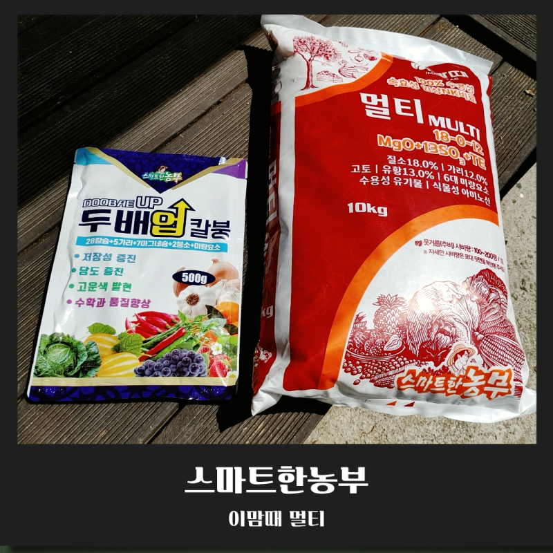 고추 웃거름 비료 스마트농부 이맘때멀티 NK비료 추천