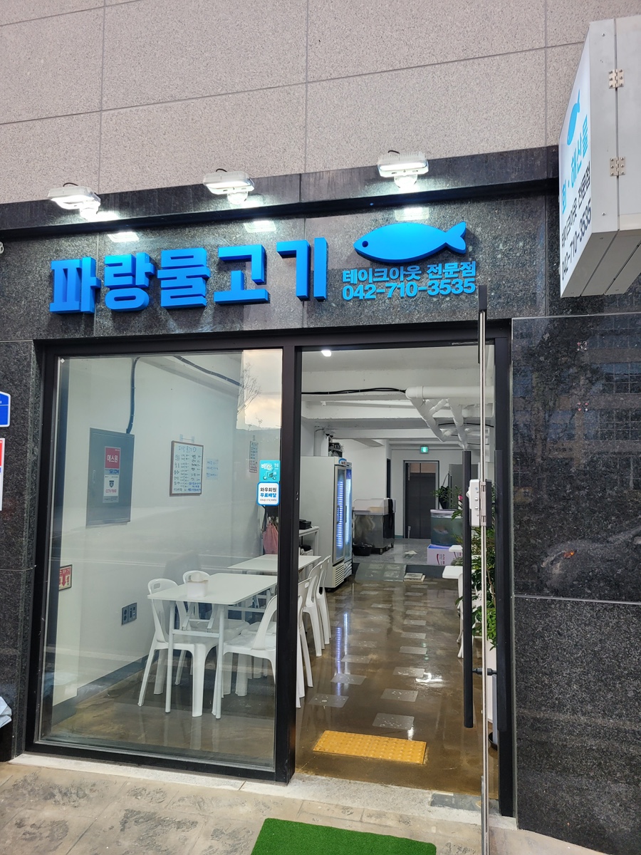 파랑물고기 사진