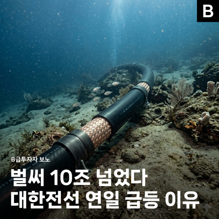 "벌써 10조 넘었..." <b>대한전선</b> 주가 연일 급등하는 이유
