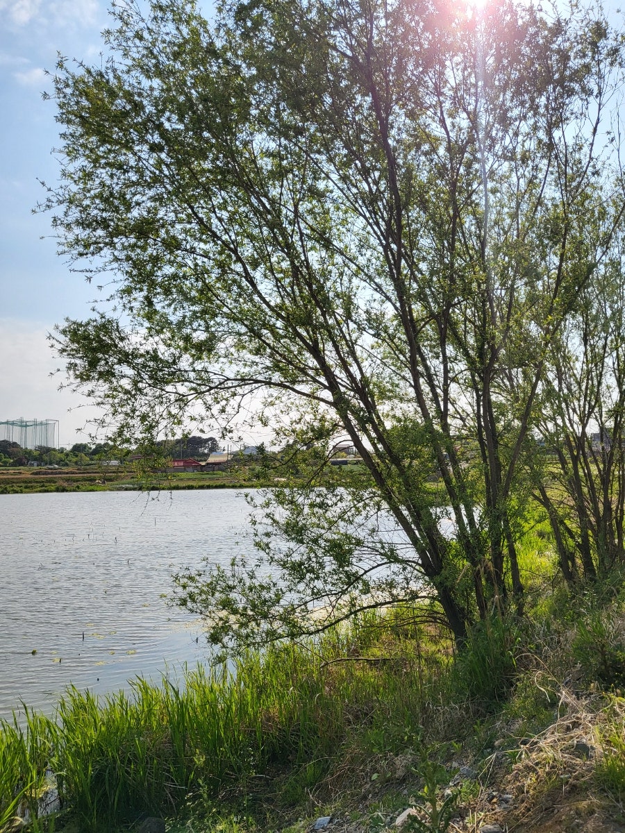 석지제 사진 5