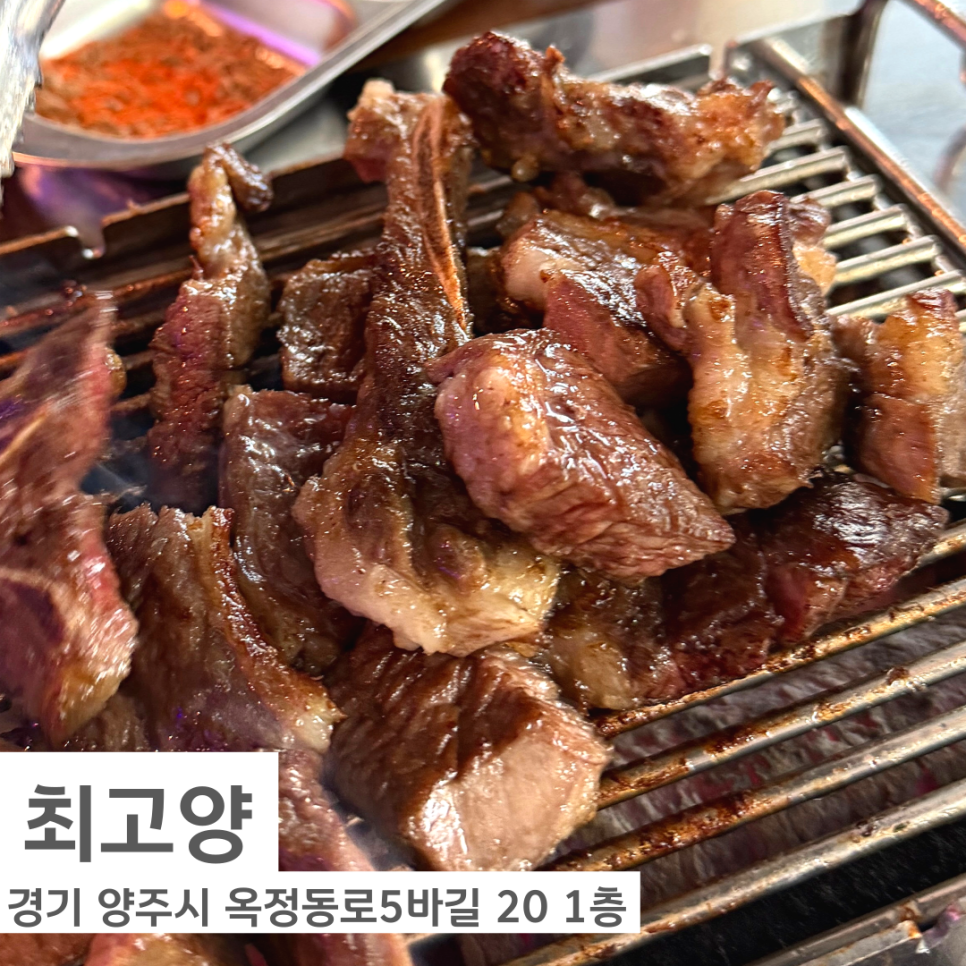 최고양 사진 1