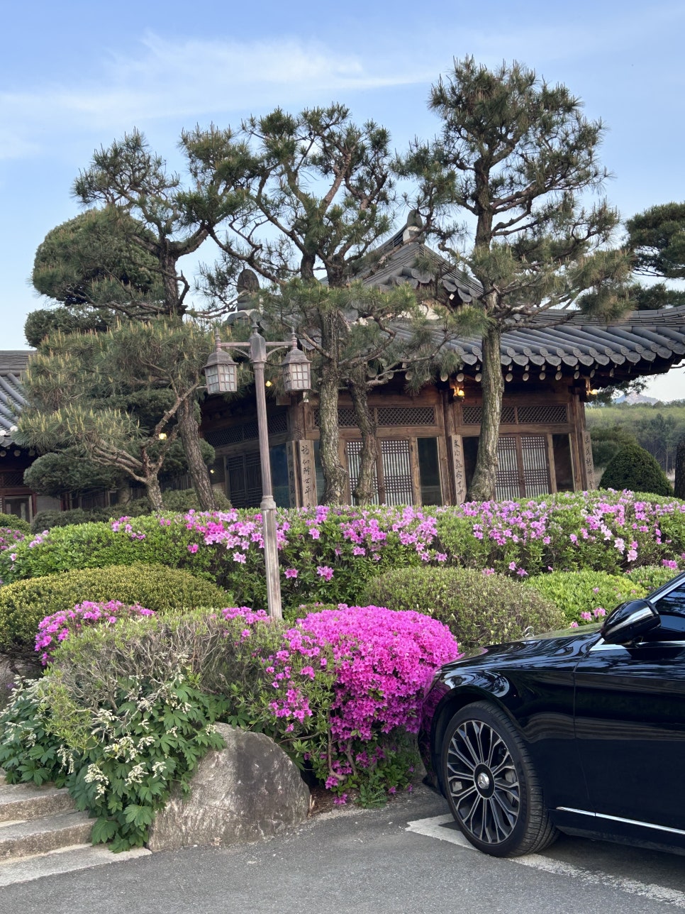 명지원 사진 3