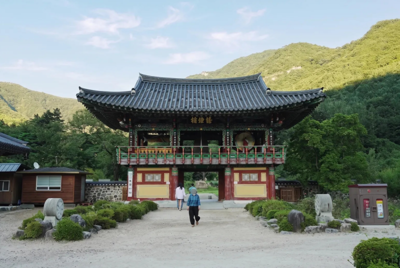 사진 7