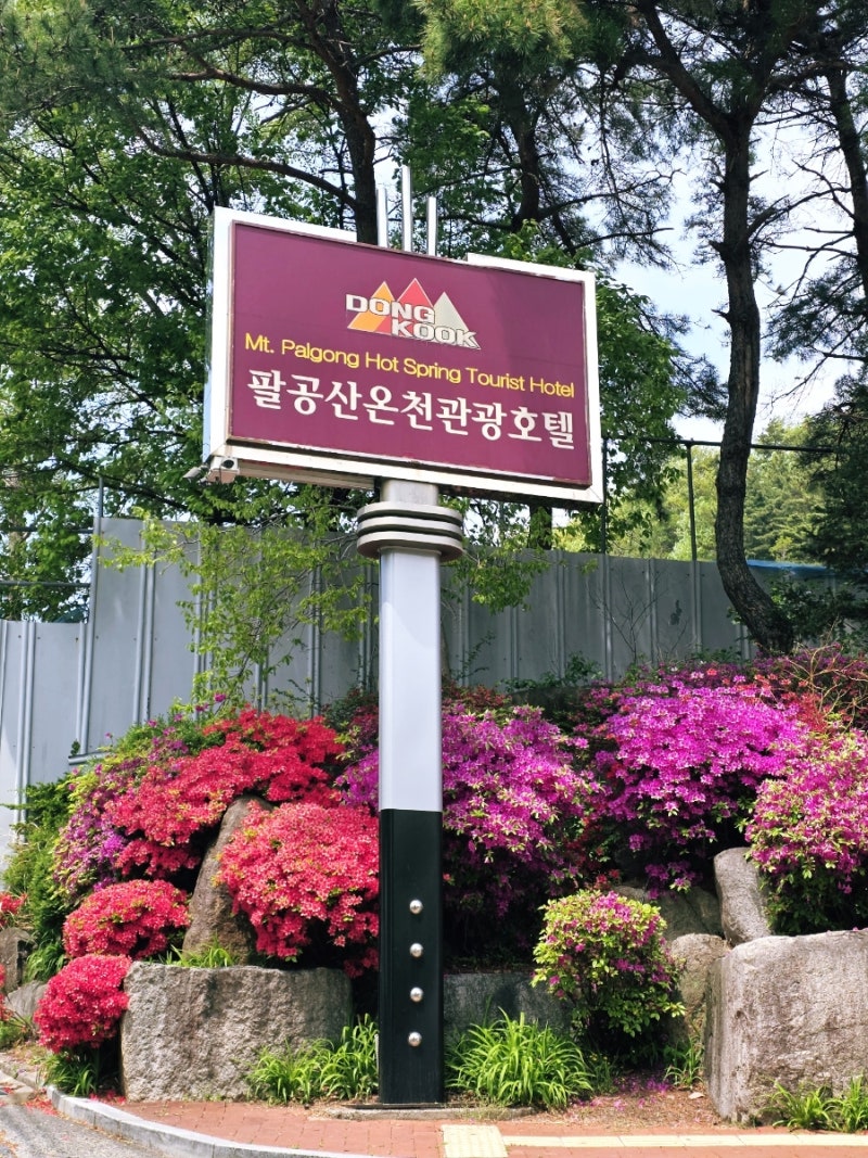 [온천] 팔공산온천관광호텔 온천 사우나 이용 리뷰 (진짜 좋긴함! 주변 간단 밥집, 느좋 카페 ....