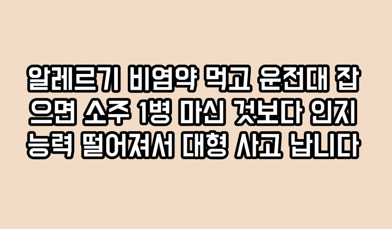 알레르기 비염약 먹고 운전대 잡으면 소주 1병 마신 것보다 인지 능력 떨어져서 대형 사고 납....