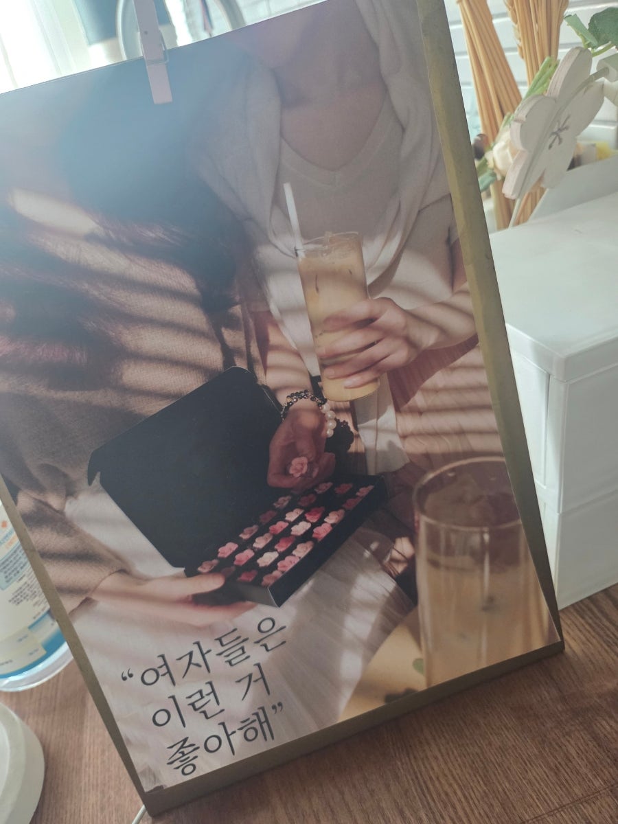 쇼콜리디아 사진 4