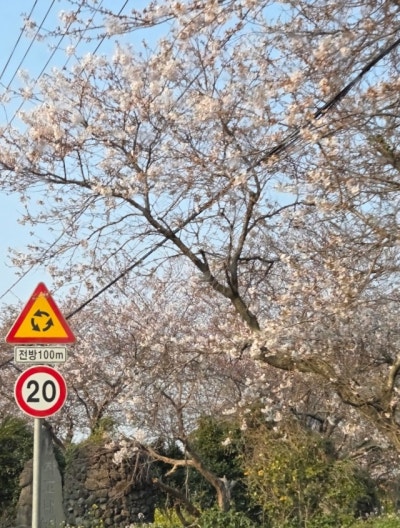 사진 6