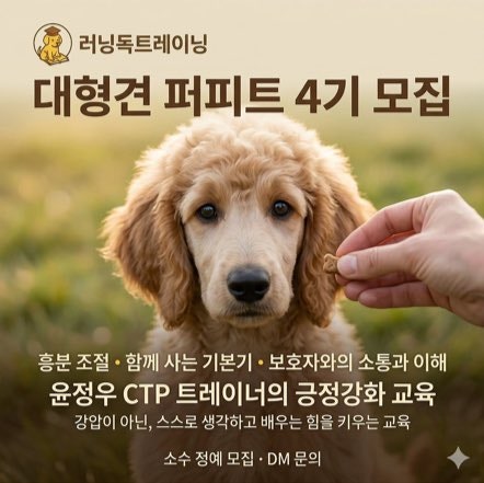 러닝독