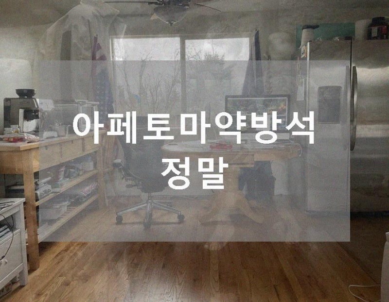 아페토마약방석 정말 좋아하는 아페토 마약방석