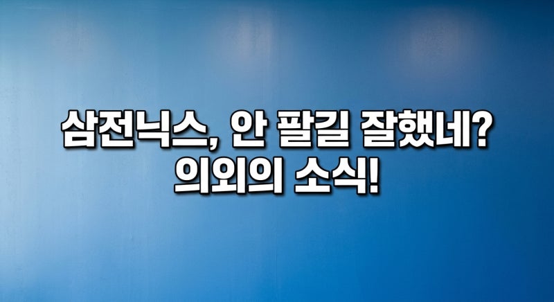 사진 6