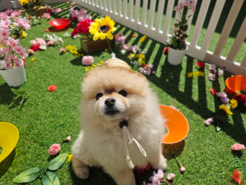 사진 5
