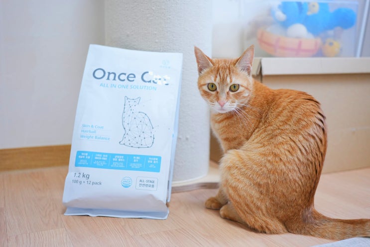  고양이 다이어트 사료 추천, 뚱냥이 필독!