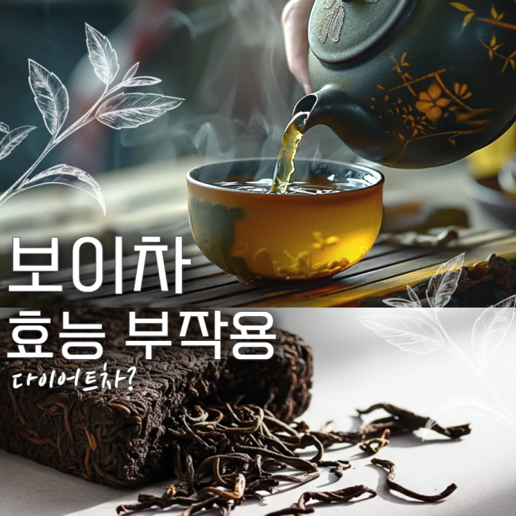  보이차 효능 부작용 다이어트차?