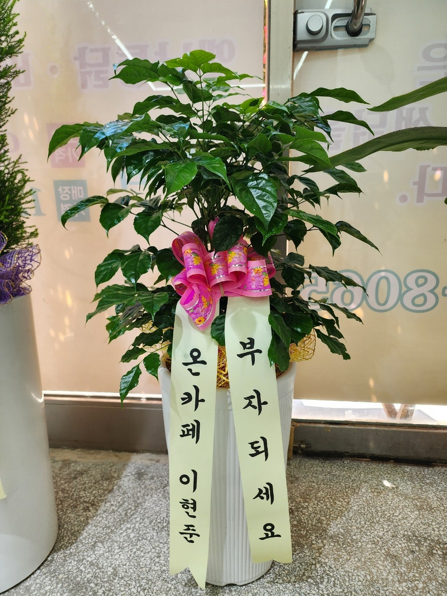 노을통닭 사진 3