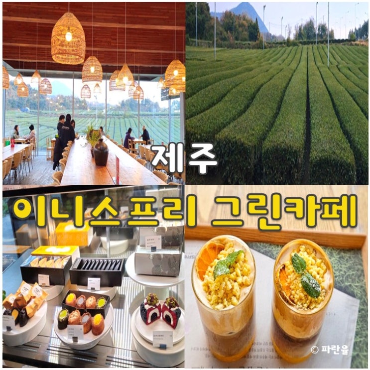  제주 오설록 이니스프리 그린카페 녹차밭 서귀포 명소 추천