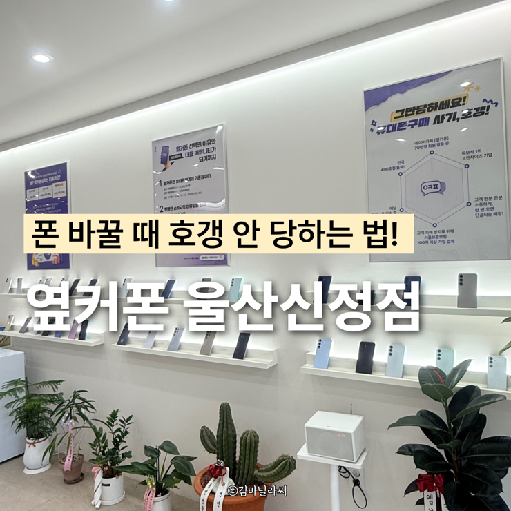  울산 남구 달동 휴대폰 성지 옆커폰 울산신정로점