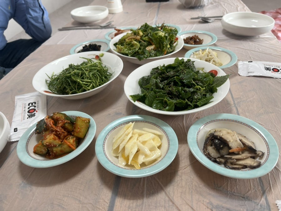 버드나무 사진 1