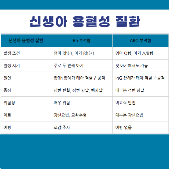 신생아 Rh ABO 부적합 용혈성 질환