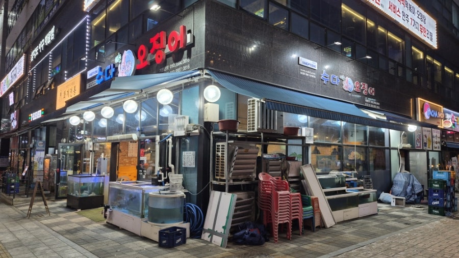 수다떠는 오징어 사진 2
