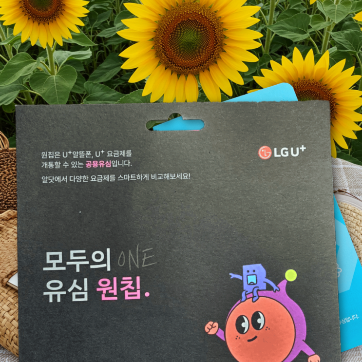  LG 알뜰폰 MVNO 개통 모두의 원칩 유심으로 개통한 후기