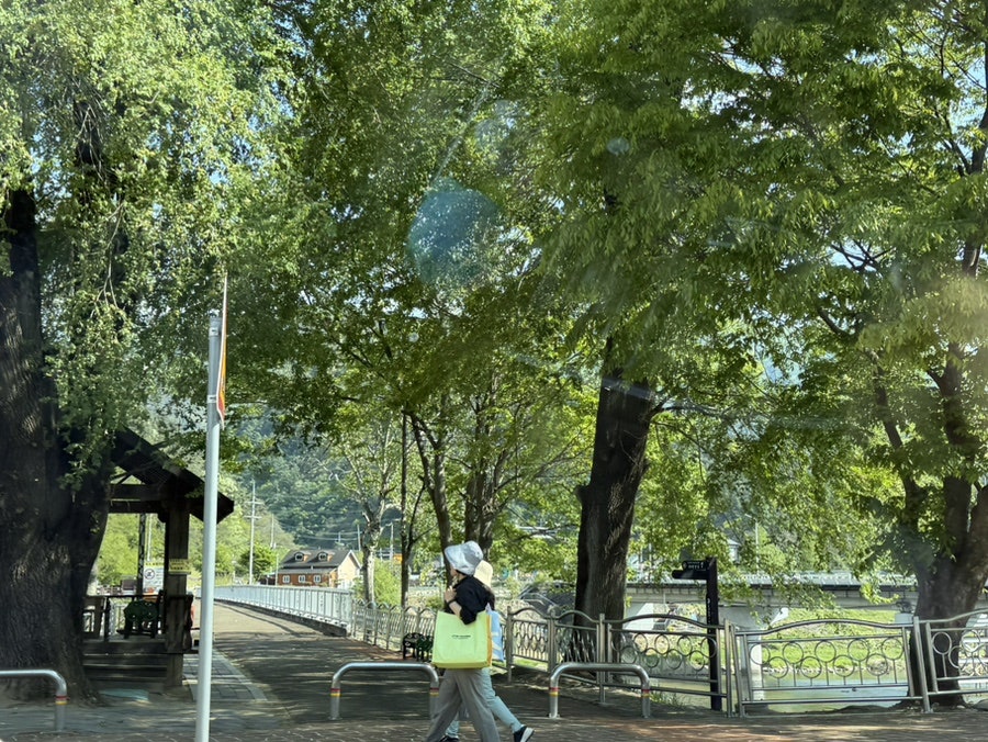 카페헤이즈 사진 5