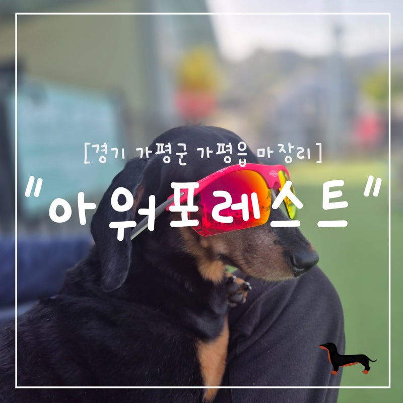 "경기 가평군" 가평 울타리 있는 애견캠핑장 아워포레스트 후기 | 포레스트13 + 명당자리 추천