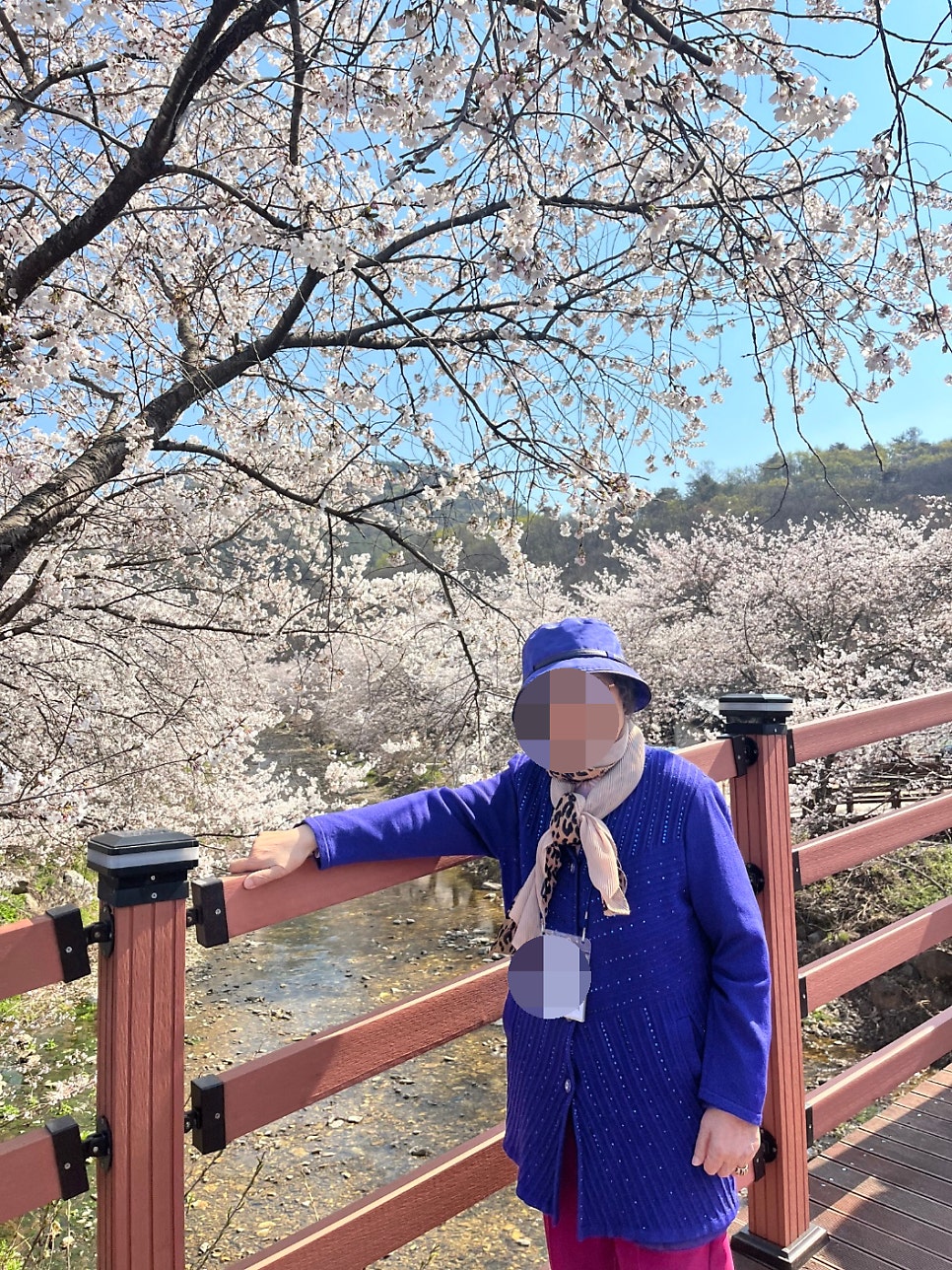 귀여리벚꽃길 사진 3