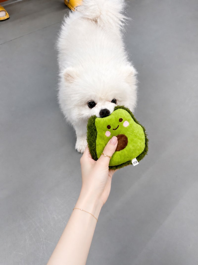사진 9