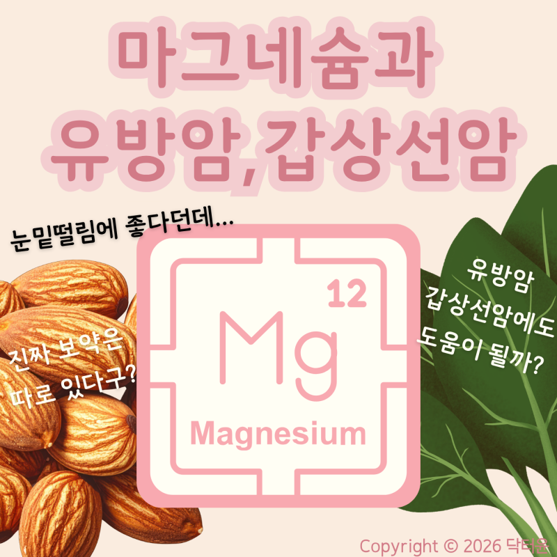 눈밑 떨림에만 좋은 줄 알았는데? 마그네슘과 유방·갑상선암의 진짜 연결고리 | 건강이야기 ....