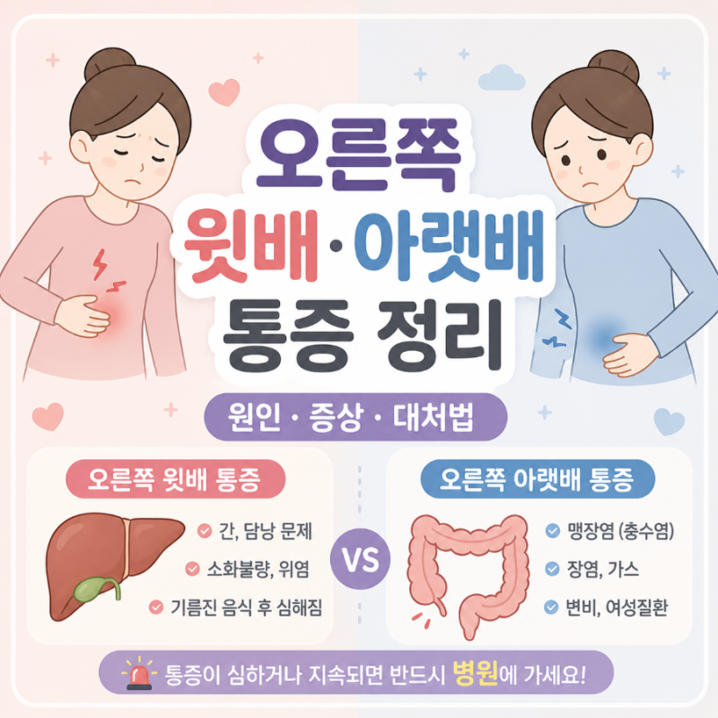 통증오른쪽 윗배 통증 (간 · 담낭 · 위)메스꺼움, 구토 식은땀,속이 타는 느낌명치아픔,단순 ....