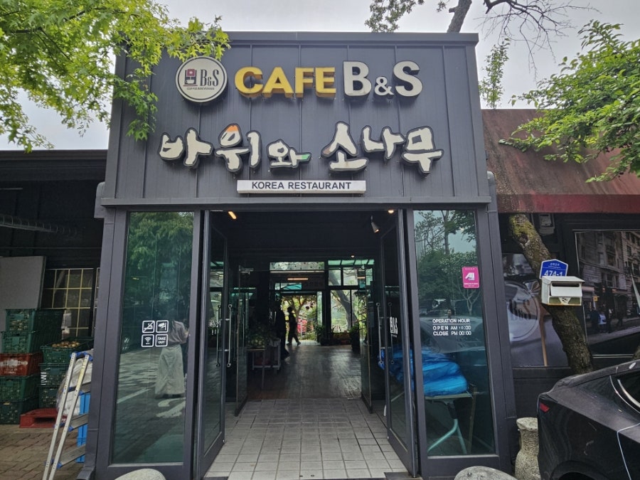 바위와소나무 사진 3